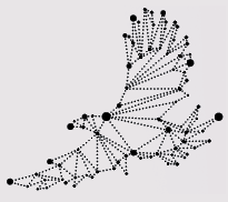 The final piece of the constellation Iritjinga, centaurus forms a part of the sky map where stars and the darkness between stars are used to assist navigation