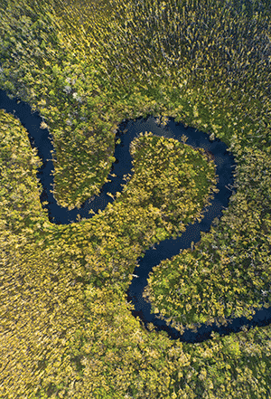 Aerial of Noosa River