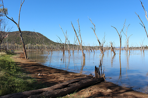 Lake Nuga Nuga