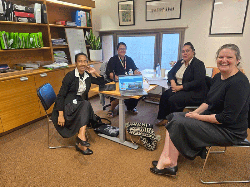 Pilot Judicial Collegium Program 