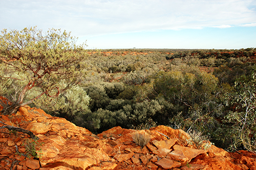 Little Sandy Desert, WA