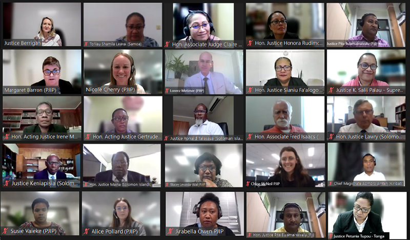PJIP Online course participants - May 2023 online-course
